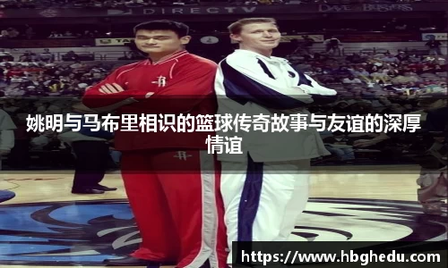 星空综合·(中国)官方网站