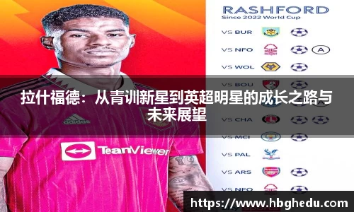 星空综合·(中国)官方网站