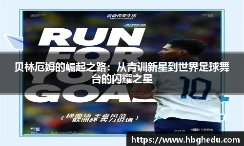 星空综合·(中国)官方网站