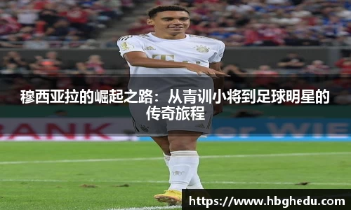 星空综合·(中国)官方网站